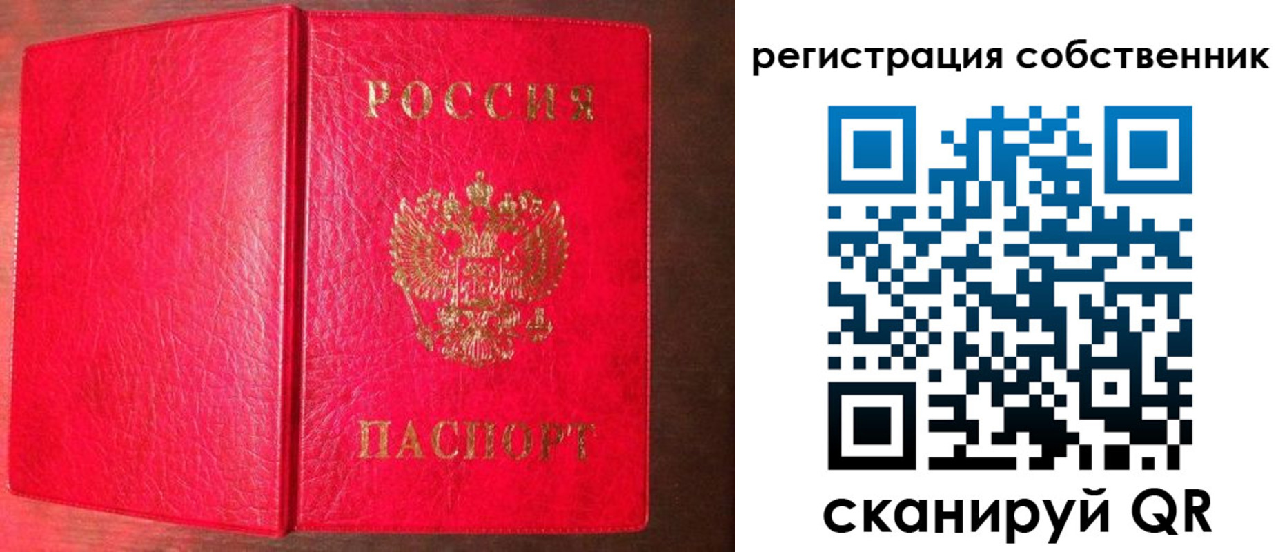 прописка поиск в Вологде